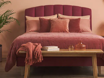 Pantone Colour of the Year: Pink Fuzz