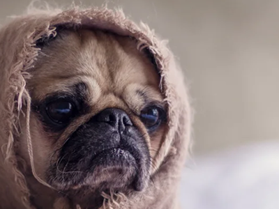Five tips for sleeping with a cold