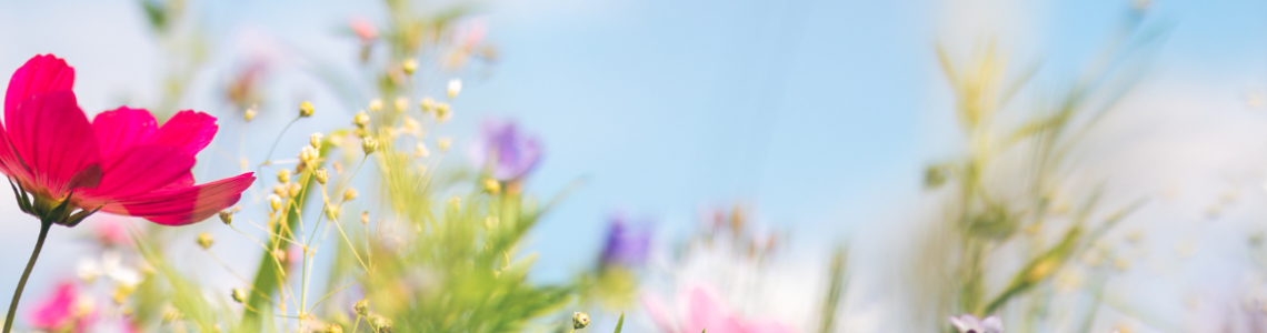 Spring Time Sleep Tips
