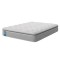Sealy Enhance Ashton Mattress